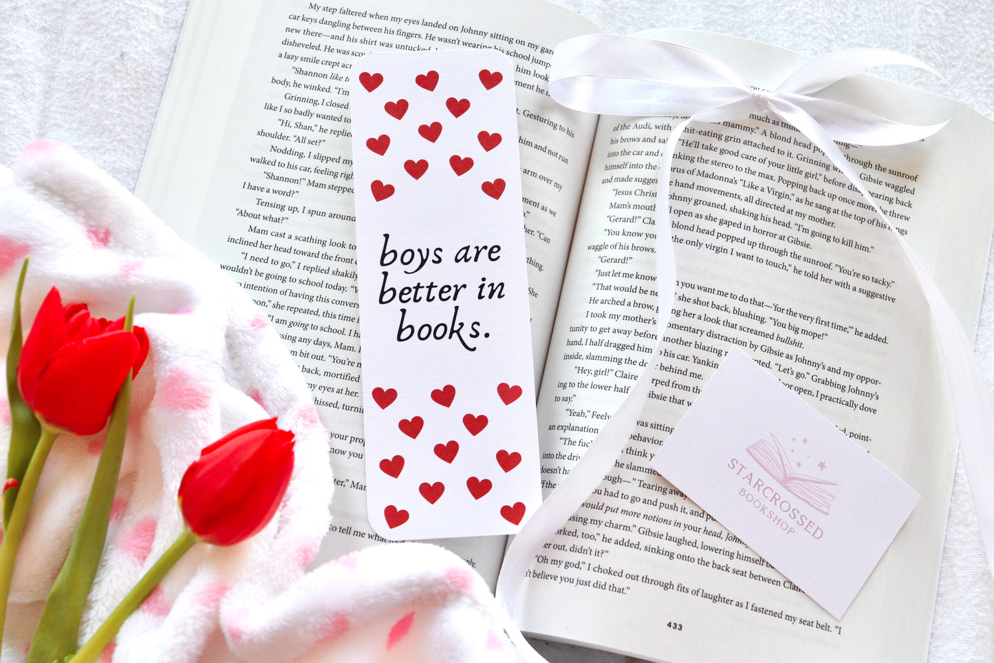 Boys Are Better In Books Bookmark